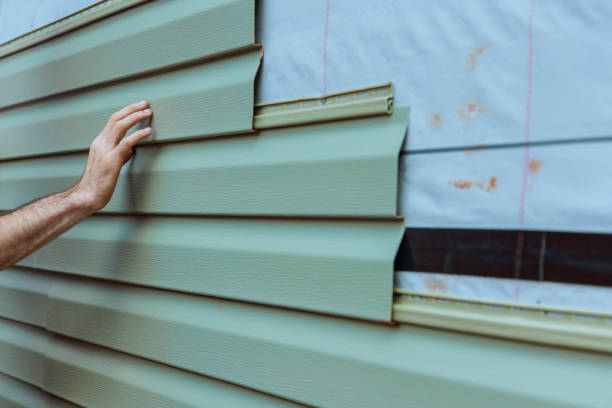 Best Brick Veneer Siding  in Dranesville, VA
